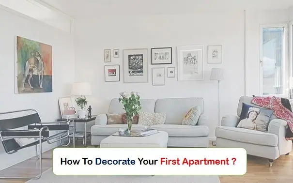 Apartment Decorating Ideas On A Budget